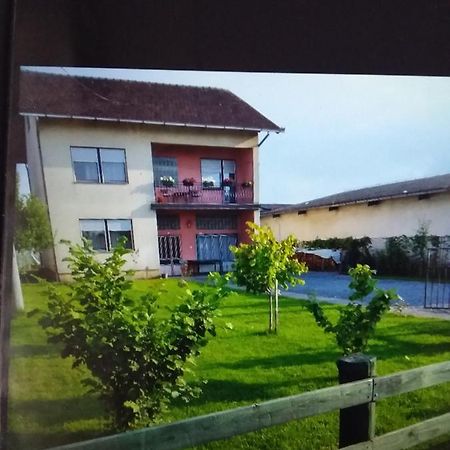 Apartmani Primus Bosanska Gradiska Camera foto
